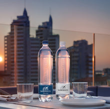 Load image into Gallery viewer, SAN BENEDETTO TOWER NATURAL WATER 1LT. (12-Bt. Case)
