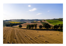 Load image into Gallery viewer, Mancini Pastificio Calamarata Pasta (12- Pack Case) 500gm.