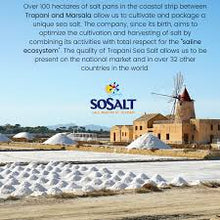 Load image into Gallery viewer, SoSalt Sicilian Sea Salt 750/Gr. Case of 10