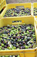 Load image into Gallery viewer, Galantino Handmade &  Painted Ceramic Jar-Angel with Extra Virgin Olive Oil 500 ml