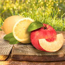 Load image into Gallery viewer, San Benedetto Indian Black Tea/Peach - ( Case of 12 )