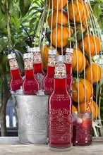 Load image into Gallery viewer, Galvanina Organic Blood Orange Soda, 12oz Case of (24-Bottles)