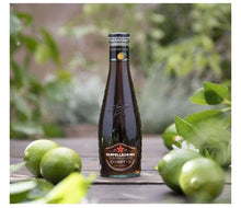 Load image into Gallery viewer, San Pellegrino Chinotto Beverage Sparkling - 4 bottles x 6.75 fl oz