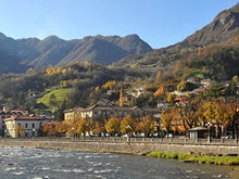 Load image into Gallery viewer, S.Pellegrino Sparkling Natural Mineral Water, 33.8 Fl Oz. (12 Pack Glass)