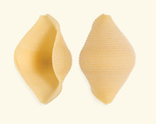 Load image into Gallery viewer, Liguori Conchiglioni / N. 208 (12-Pack Discount)