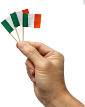 Load image into Gallery viewer, 100 Pcs Italy Flag Italian Toothpick Flags, Small Mini Stick Cupcake Toppers Italian Flags,Country Picks Party Decoration Celebration Cocktail Food Bar Cake Flags