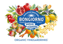 Load image into Gallery viewer, Bongiorno Organic Berries & Pomegranate Balsamic & Apple Cider Vinegar 16.9oz (6-Pack)