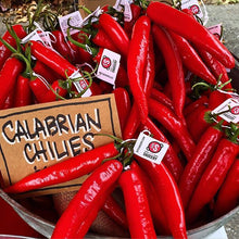 Load image into Gallery viewer, Delizie Di Calabria Calabrian Chili Peppers infused in Oil, 3.38 oz | 100ml ( 3Bottle - Pack )