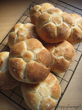 Load image into Gallery viewer, Frozen Rosetta bread 100g - Oropan - Puglia / 100g -Each Bread (1-Dozen Frozen Breads)