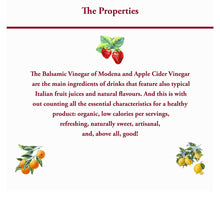 Load image into Gallery viewer, Bongiorno Organic Balsamic Honey Vinegar Drink with Apple Cider 6.9 oz (6-Pack)