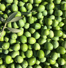 Load image into Gallery viewer, Vantia / Nocellara Olives. Buckets-15.4 lb.
