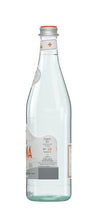 Load image into Gallery viewer, Acqua Panna Natural Spring Water 1liter/Glass Bottles (Case of 12)
