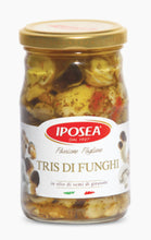 Load image into Gallery viewer, Iposea Three kind of Mushroom in Oil, (314g x 12 Jars )
