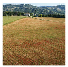 Load image into Gallery viewer, Casino Di Caprafico / Umbrian Lentils
