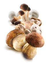 Load image into Gallery viewer, Iposea Three kind of Mushroom in Oil, (314g x 12 Jars )
